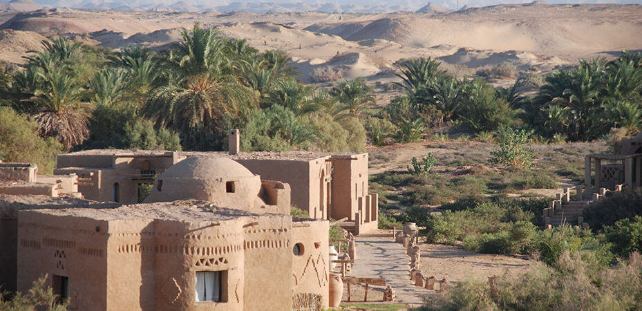 ProTours Experience Western Desert Al Tarfa Lodge Outside View